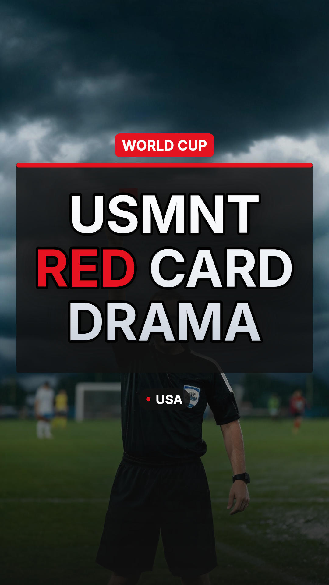 United States 2-0 Bosnia-Herzegovina