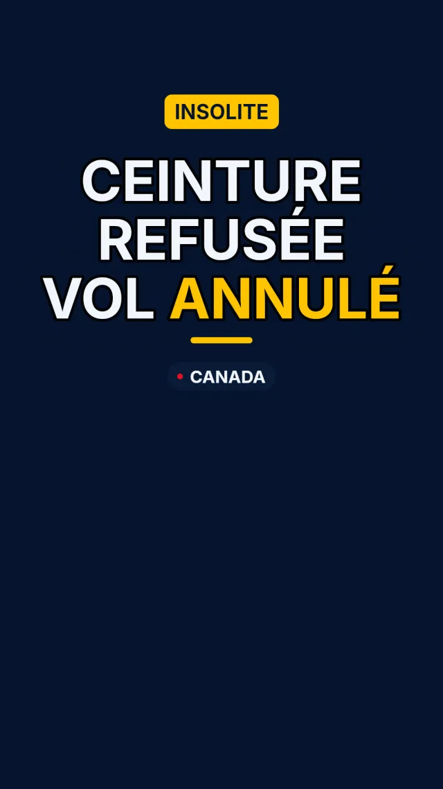 Niño se rehúsa a abrocharse el cinturón de seguridad y provoca cancelación de vuelo en Canadá